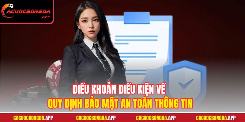 Điều khoản điều kiện về quy định bảo mật an toàn thông tin