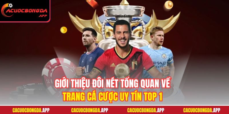 Giới thiệu đôi nét tổng quan về trang cá cược uy tín top 1